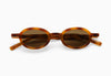 Warm Amber / Dark Brown